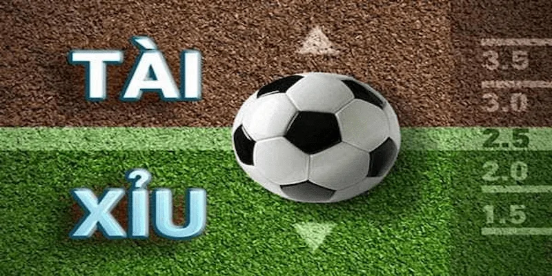 Tại sao cần học hỏi kinh nghiệm soi kèo tài xỉu bóng đá