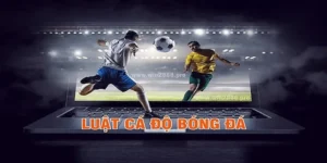 kinh nghiệm chơi cá độ bóng đá